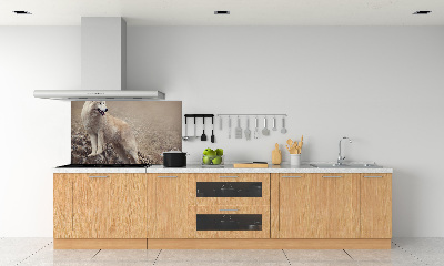 Panel lacobel Biely vlk na skale