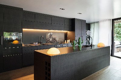 Panel lacobel Biely vlk na skale