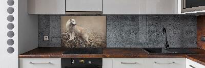 Panel lacobel Biely vlk na skale