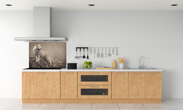 Panel lacobel Biely vlk na skale