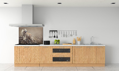 Panel lacobel Biely vlk na skale