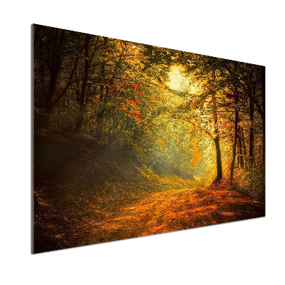 Dekoračný panel sklo Jesenný les
