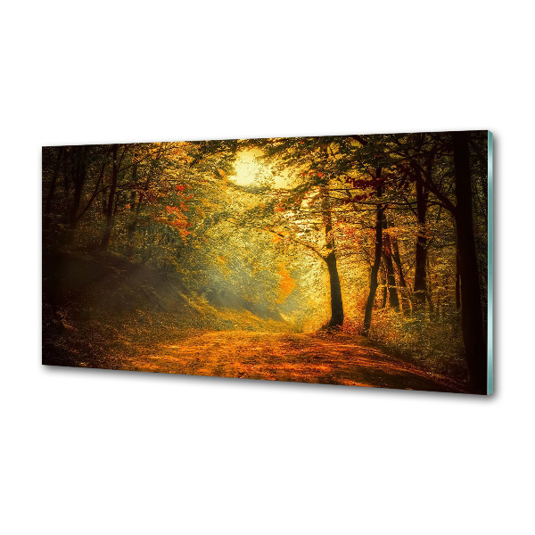 Dekoračný panel sklo Jesenný les