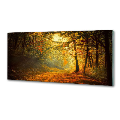 Dekoračný panel sklo Jesenný les