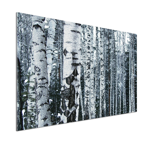 Panel do kuchyne Stromy breza