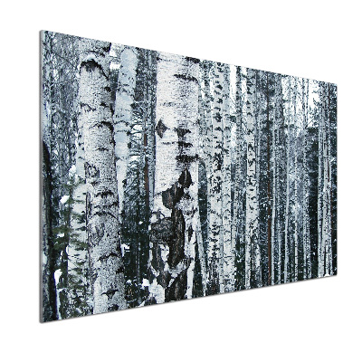 Panel do kuchyne Stromy breza
