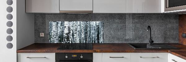 Panel do kuchyne Stromy breza