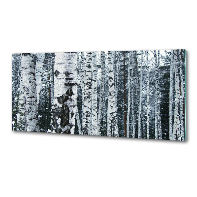 Panel do kuchyne Stromy breza