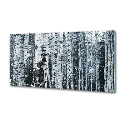Panel do kuchyne Stromy breza