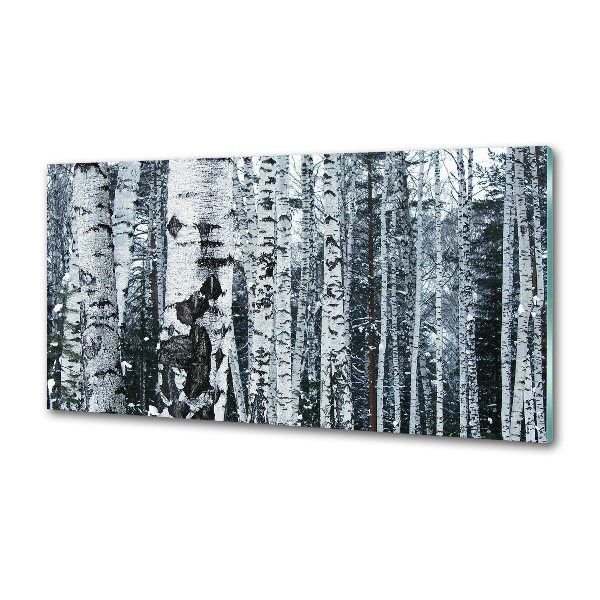 Panel do kuchyne Stromy breza