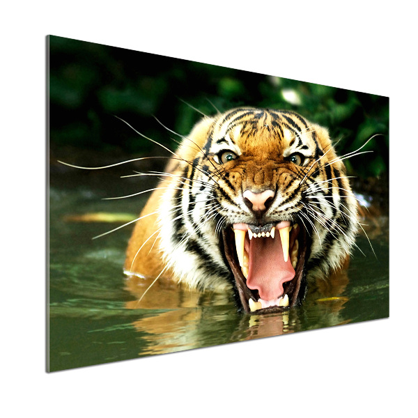 Panel do kuchyne Revúci tigre