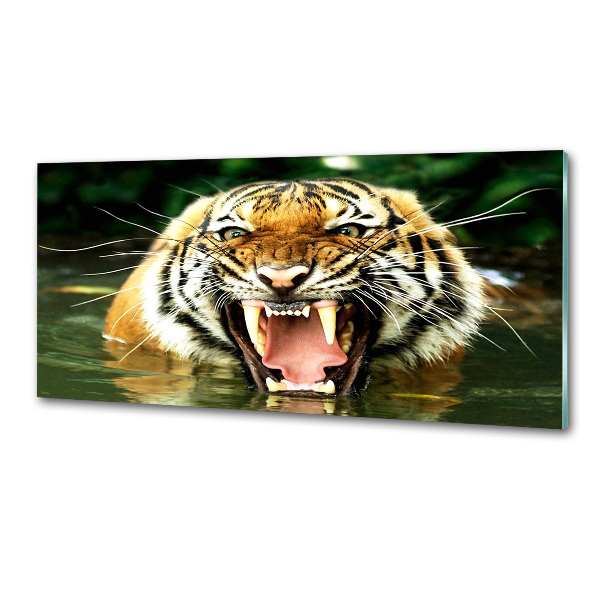 Panel do kuchyne Revúci tigre