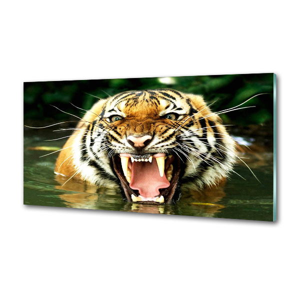 Panel do kuchyne Revúci tigre