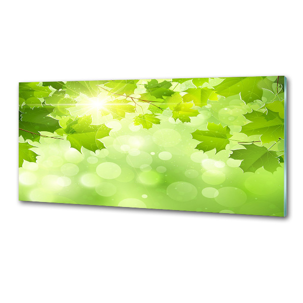 Panel do kuchyne Lístie gaštanu