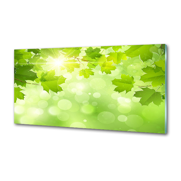Panel do kuchyne Lístie gaštanu