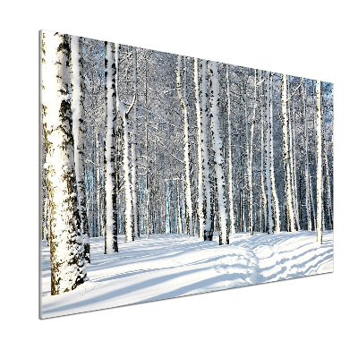 Sklenený panel do kuchynskej linky Les zima