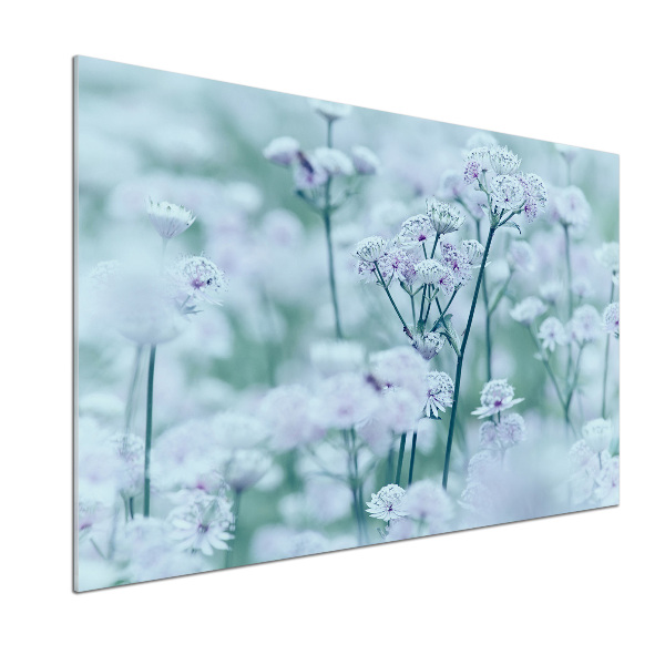 Panel do kuchyne Jarmanka väčšia