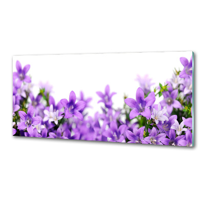 Panel do kuchyne Fialové zvončeky