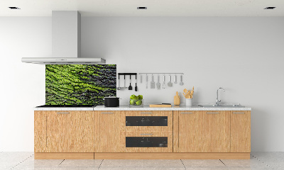 Dekoračný panel sklo Kôra stromu