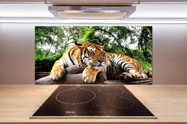 Panel do kuchyne Tiger na skale