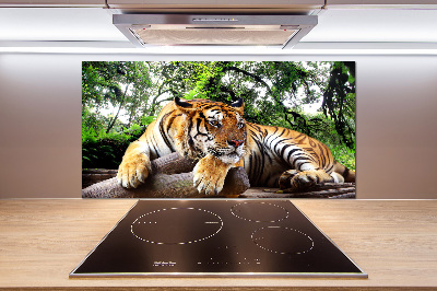 Panel do kuchyne Tiger na skale