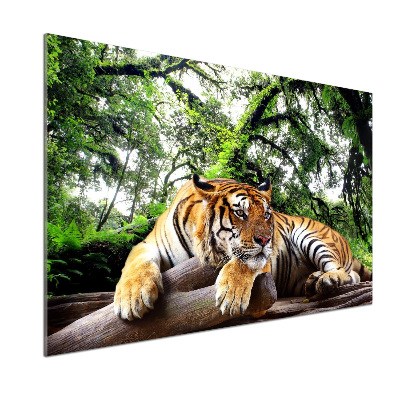 Panel do kuchyne Tiger na skale