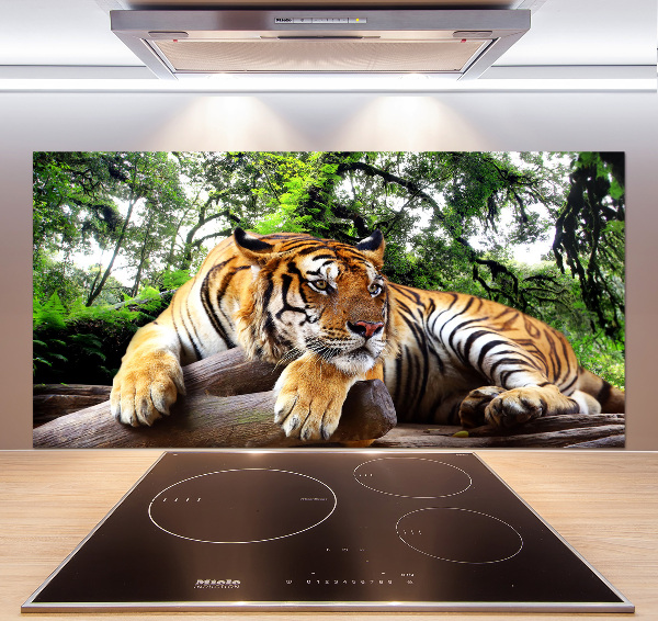 Panel do kuchyne Tiger na skale