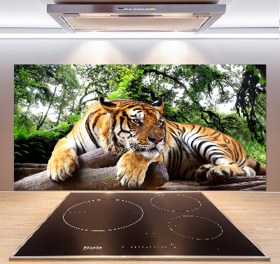 Panel do kuchyne Tiger na skale