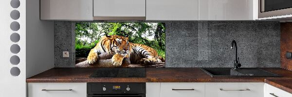 Panel do kuchyne Tiger na skale