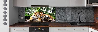 Panel do kuchyne Tiger na skale