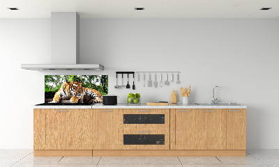 Panel do kuchyne Tiger na skale