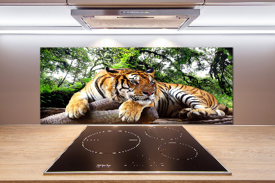 Panel do kuchyne Tiger na skale