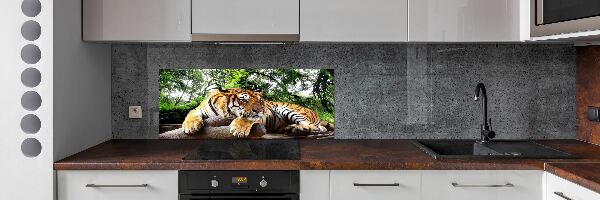 Panel do kuchyne Tiger na skale