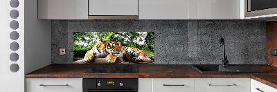 Panel do kuchyne Tiger na skale
