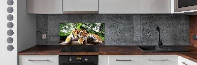 Panel do kuchyne Tiger na skale