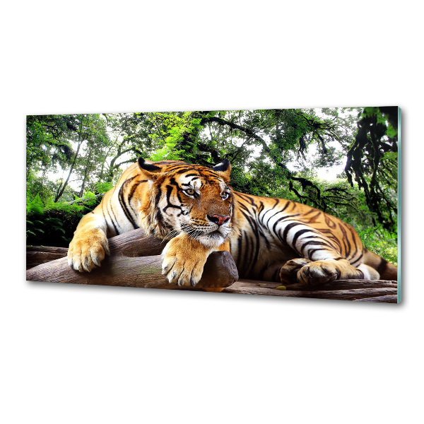 Panel do kuchyne Tiger na skale
