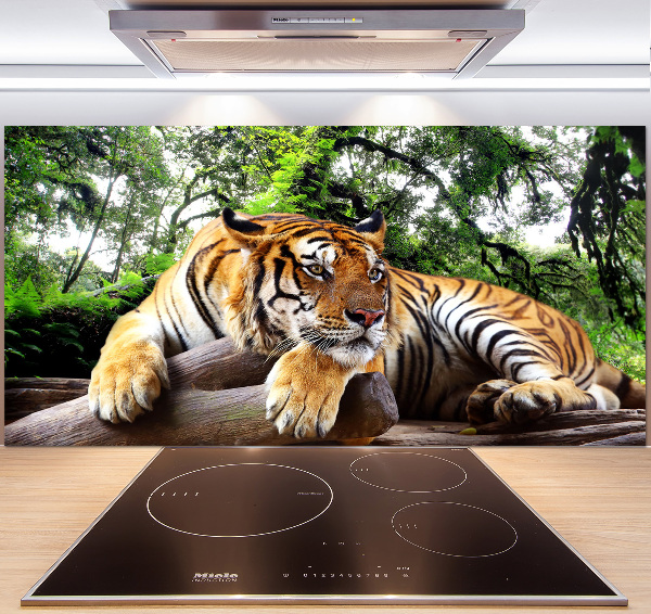Panel do kuchyne Tiger na skale