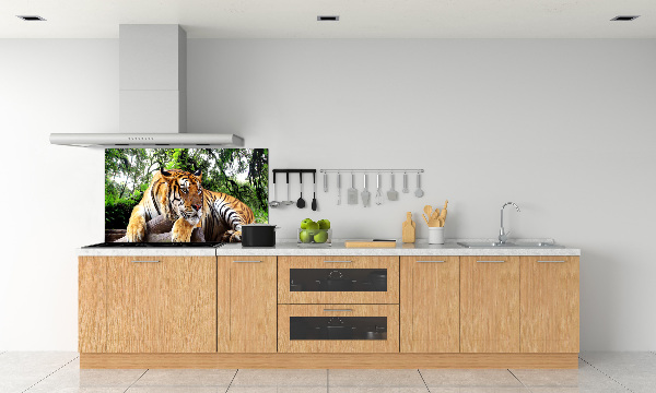 Panel do kuchyne Tiger na skale