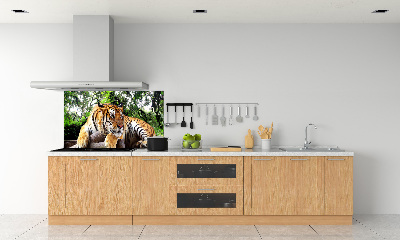 Panel do kuchyne Tiger na skale