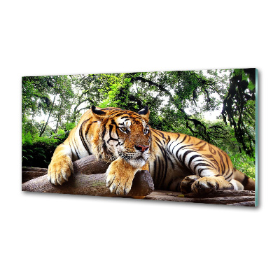 Panel do kuchyne Tiger na skale