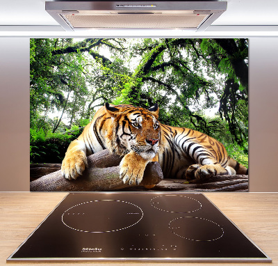 Panel do kuchyne Tiger na skale