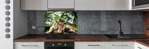 Panel do kuchyne Tiger na skale