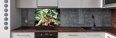 Panel do kuchyne Tiger na skale