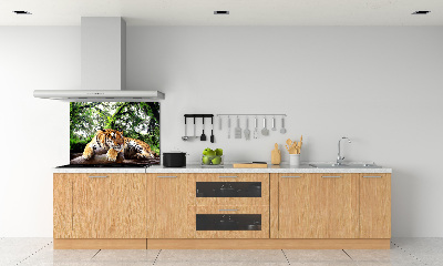 Panel do kuchyne Tiger na skale