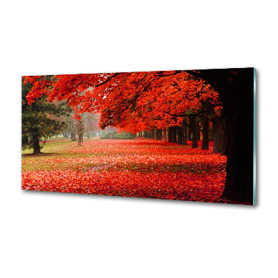 Panel do kuchyne Stromy jeseň