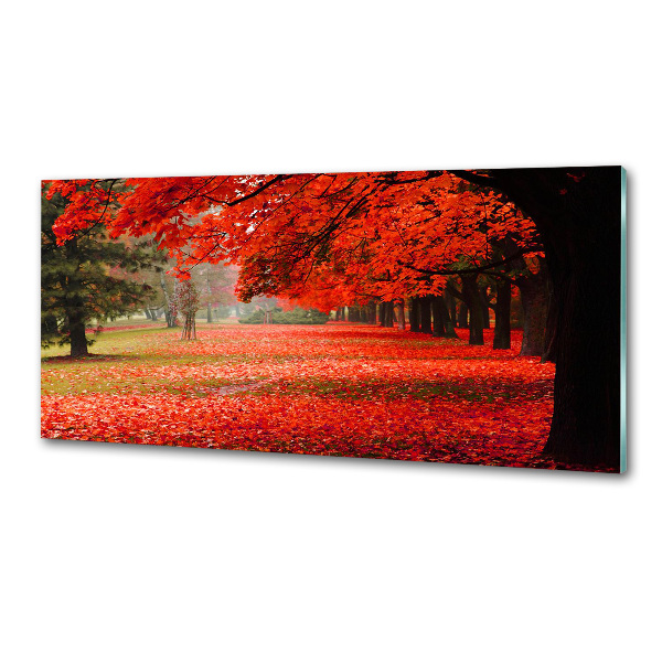 Panel do kuchyne Stromy jeseň