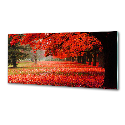 Panel do kuchyne Stromy jeseň