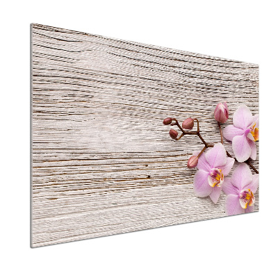 Panel lacobel Orchidea a na strome