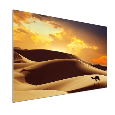 Panel do kuchyne Ťava Sahara