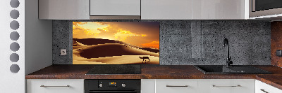 Panel do kuchyne Ťava Sahara